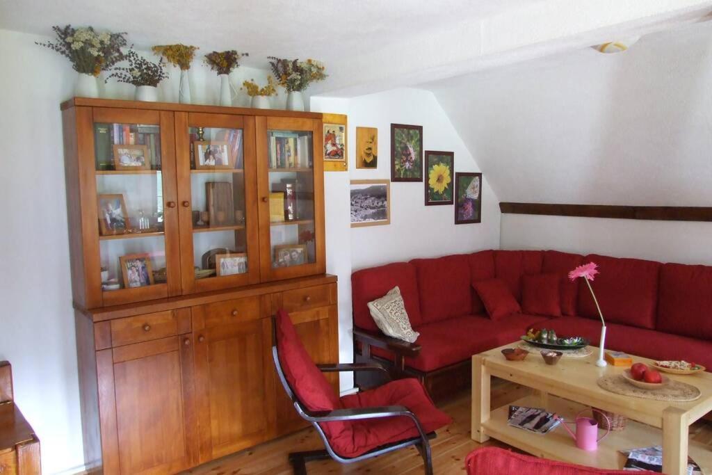 Spectacular Lakeview House Zabljak  Bagian luar foto
