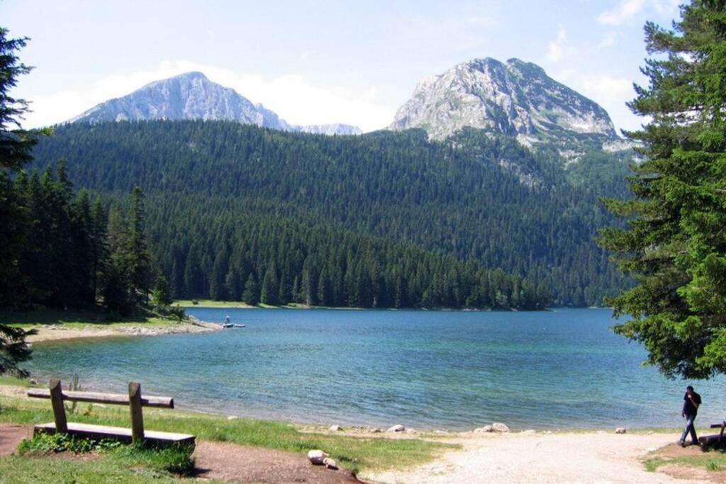Spectacular Lakeview House Zabljak  Bagian luar foto